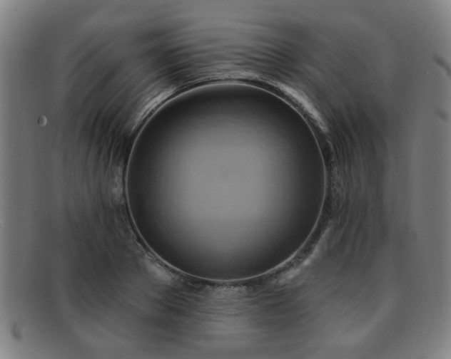 X0000092110889200709121616