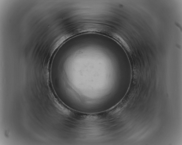 X0000092110890200709121616