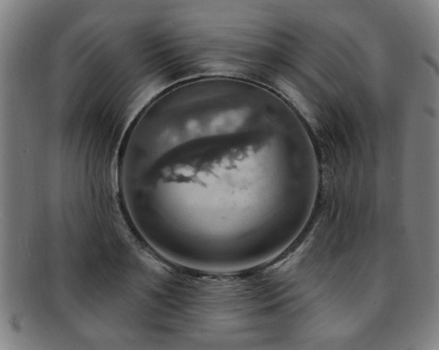 X0000092110891200709121616