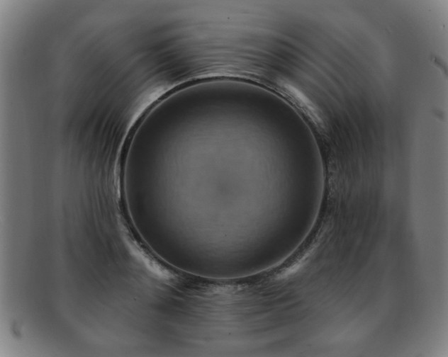 X0000092110892200709121616