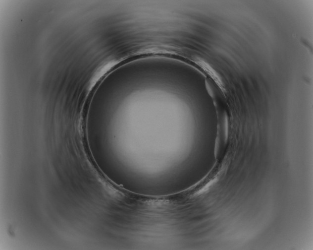 X0000092110893200709121616