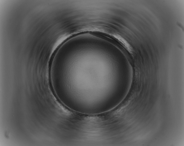 X0000092110894200709121616