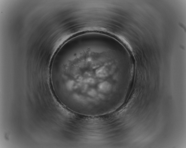 X0000092110895200709121616