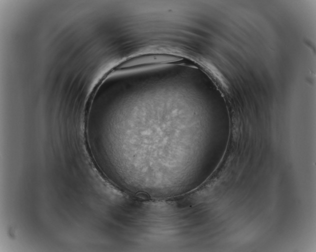 X0000092110896200709121616