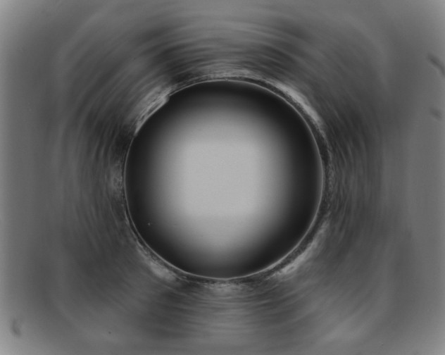 X0000092110897200709121616