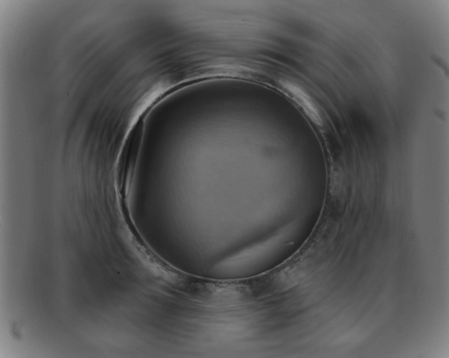 X0000092110899200709121616