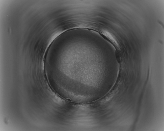 X0000092110900200709121616