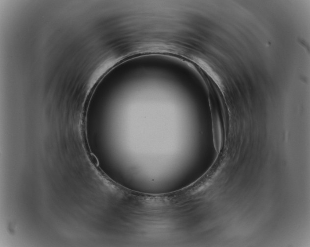 X0000092110901200709121616