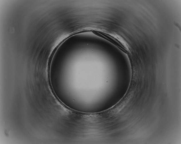 X0000092110902200709121616