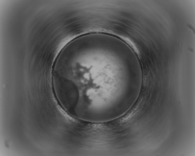 X0000092110903200709121616