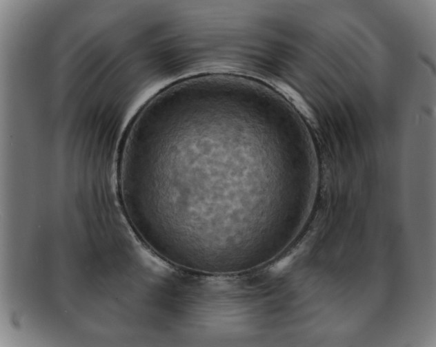 X0000092110904200709121616