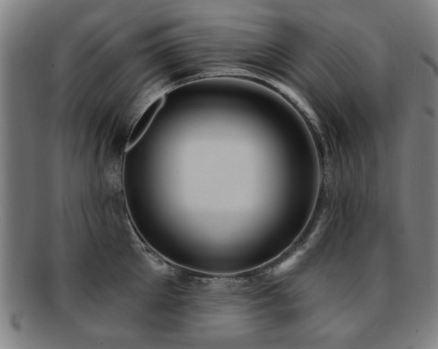 X0000092110905200709121616