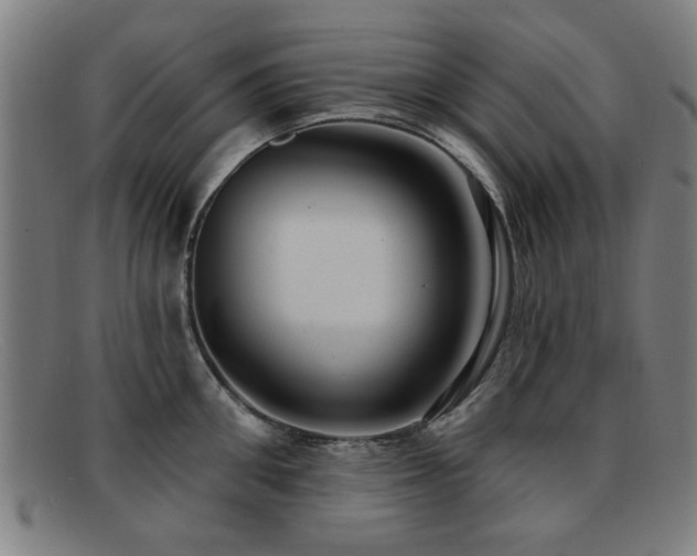 X0000092110906200709121616