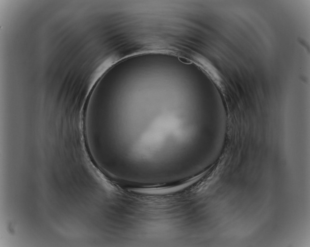 X0000092110907200709121616