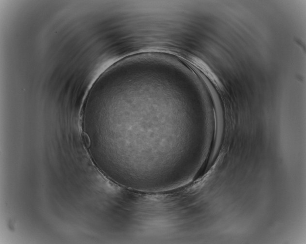 X0000092110908200709121616