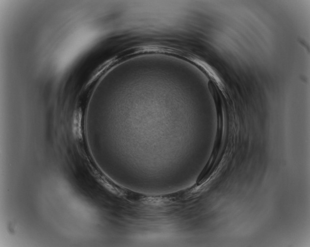 X0000092110910200709121616