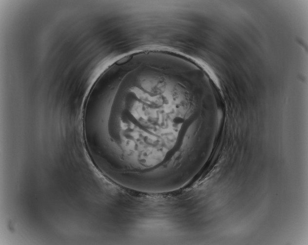 X0000092110911200709121616