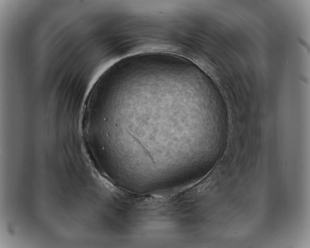 X0000092110912200709121616