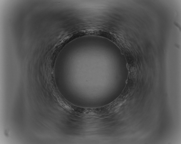 X0000092110913200709121615