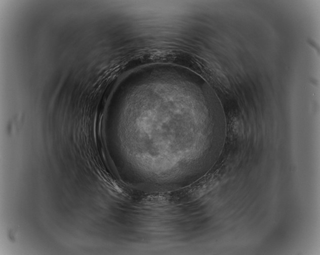 X0000092110914200709121615