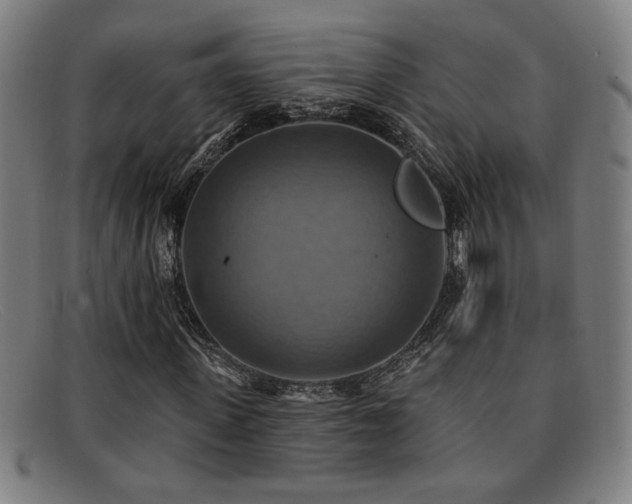 X0000092110915200709121615