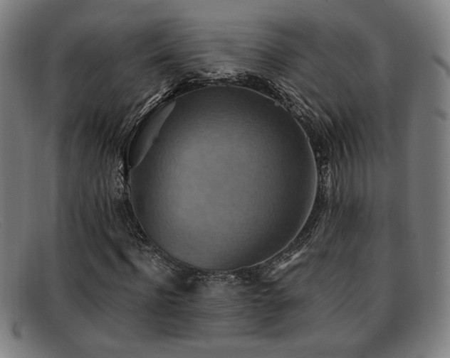 X0000092110916200709121615