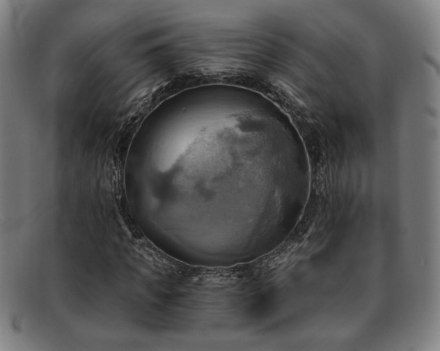 X0000092110917200709121615