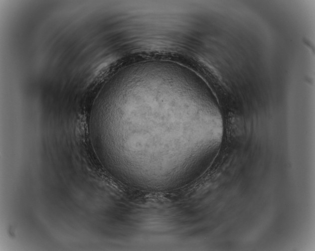 X0000092110918200709121615