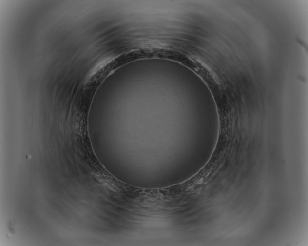 X0000092110919200709121615