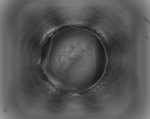 X0000092110920200709121615