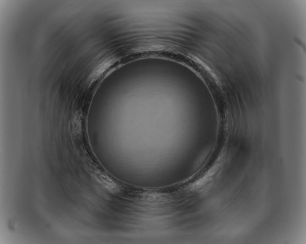 X0000092110921200709121615