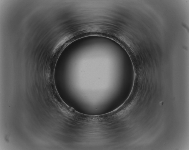 X0000092110922200709121615