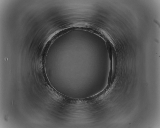 X0000092110923200709121615