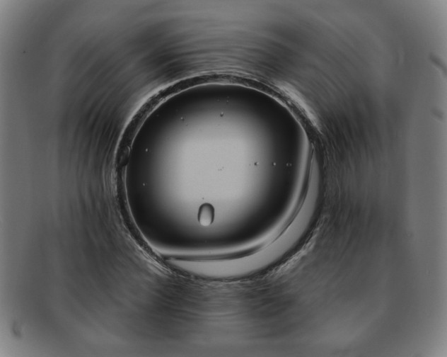 X0000092110924200709121615