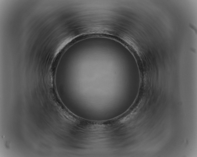 X0000092110925200709121615