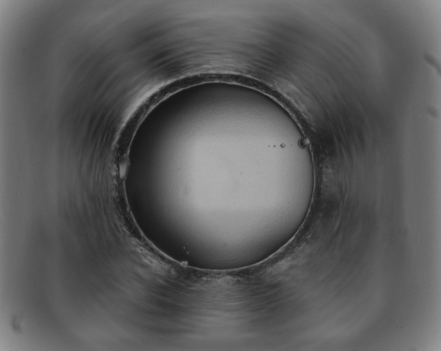 X0000092110926200709121615