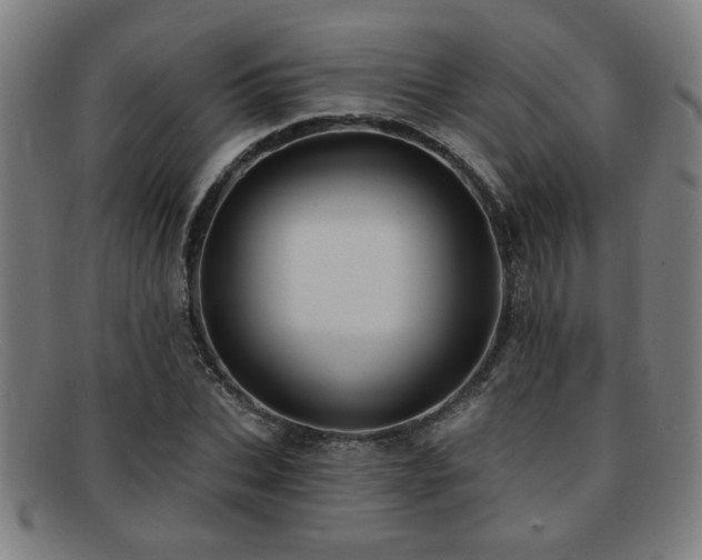 X0000092110927200709121615