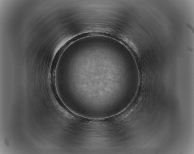 X0000092110928200709121615