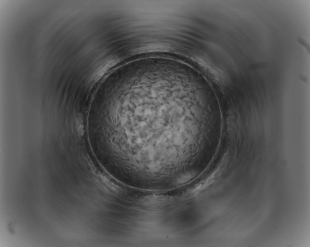 X0000092110929200709121615