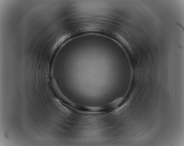 X0000092110930200709121615