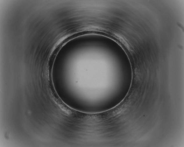 X0000092110931200709121615