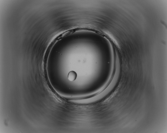 X0000092110932200709121615