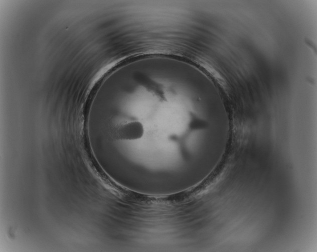 X0000092110933200709121615