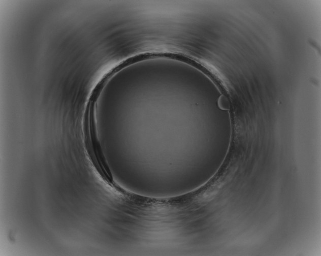 X0000092110935200709121615