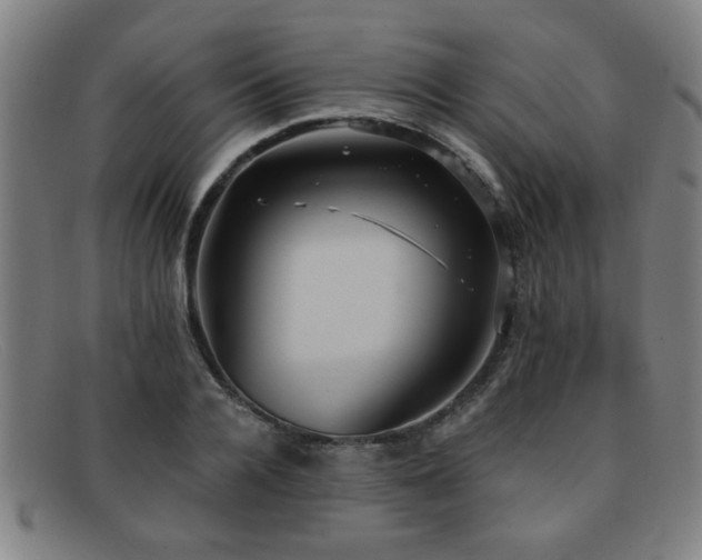 X0000092110936200709121615