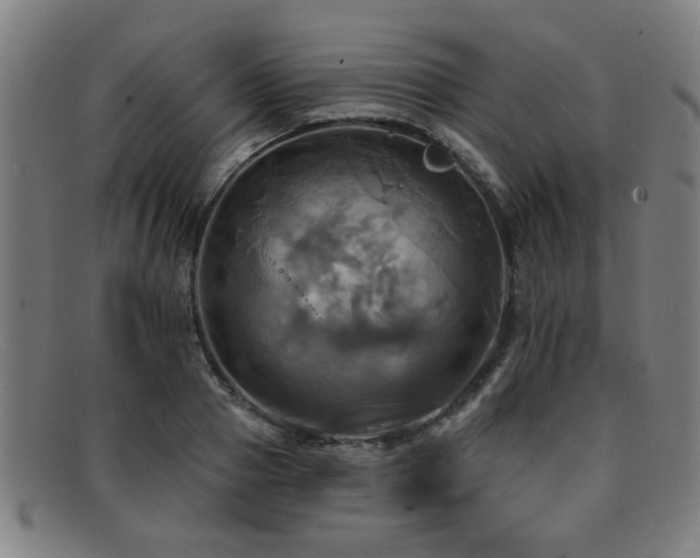 X0000092110937200709121615