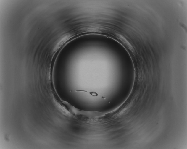 X0000092110938200709121615