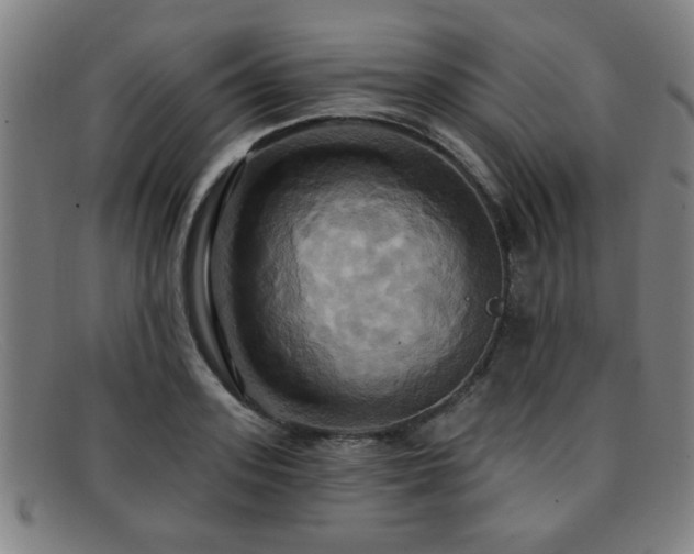 X0000092110939200709121615