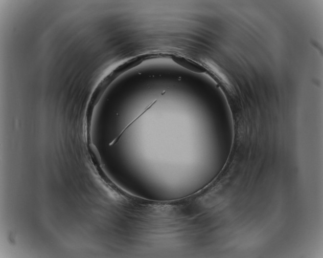 X0000092110940200709121615