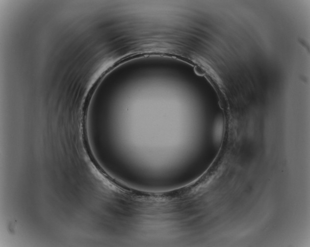 X0000092110941200709121615